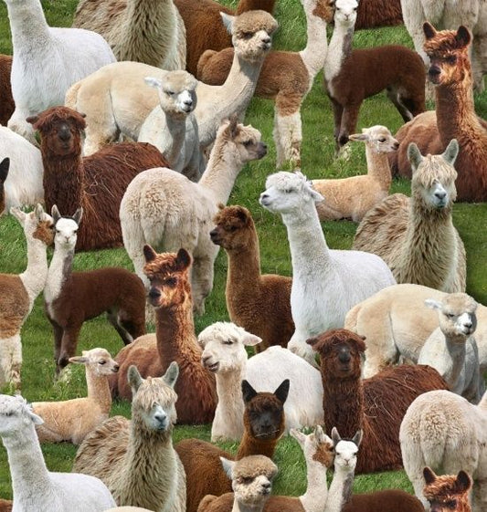 Farm Animals Alpacas Green Elizabeth's Studio Cotton Fabric
