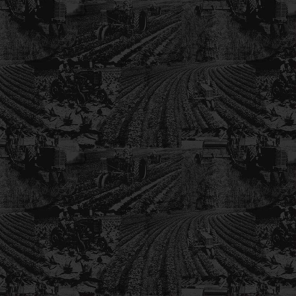 Farmall Toile Tractor farm fields Black Country Living Print Concepts Cotton Fabric Farmall-10298 Black