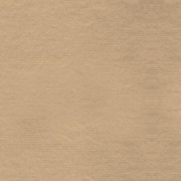 Flannel Lightweight Solid Tan Paintbrush Studio Cotton FLANNEL Fabric PBS-158006