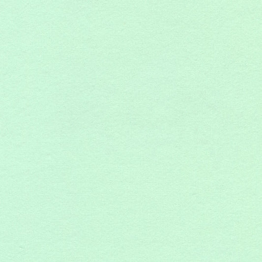 Flannel Solid 2-Ply Flannel Stronger & Loftier Fresh Dew Mint Green Robert Kaufman Cotton Fabric