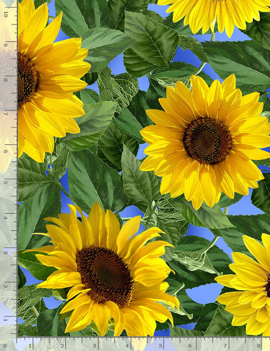 Fleur Large Leafy Sunflowers Sky Blue Timeless Treasures Cotton Fabric TT-C1132-SKY