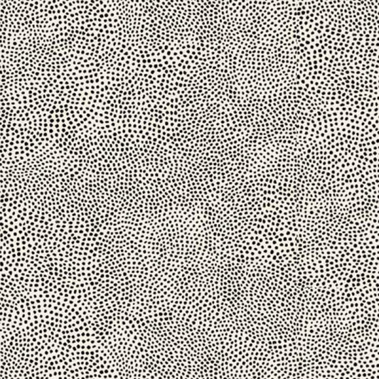 Floral Allure Dot Geo Alabaster Black Quilting Treasures Cotton Fabric QT-2600-30588-EJ