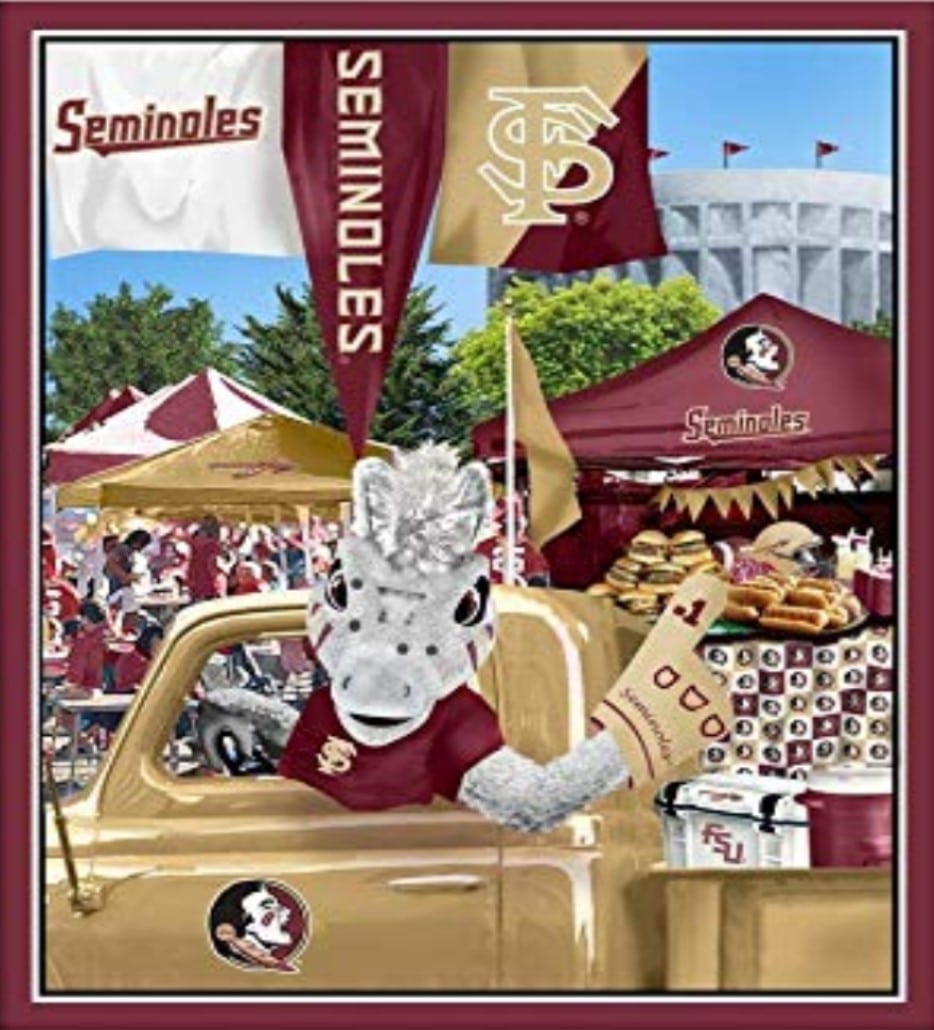 Florida State Seminoles NCAA College FSU Tailgate Panel Sykel 36" Cotton Fabric FSU-1157