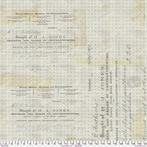 Foundations Horticulture Aqua Tim Holtz Eclectic Elements Free Spirit Cotton Fabric FS-PWTH094.AQUAX