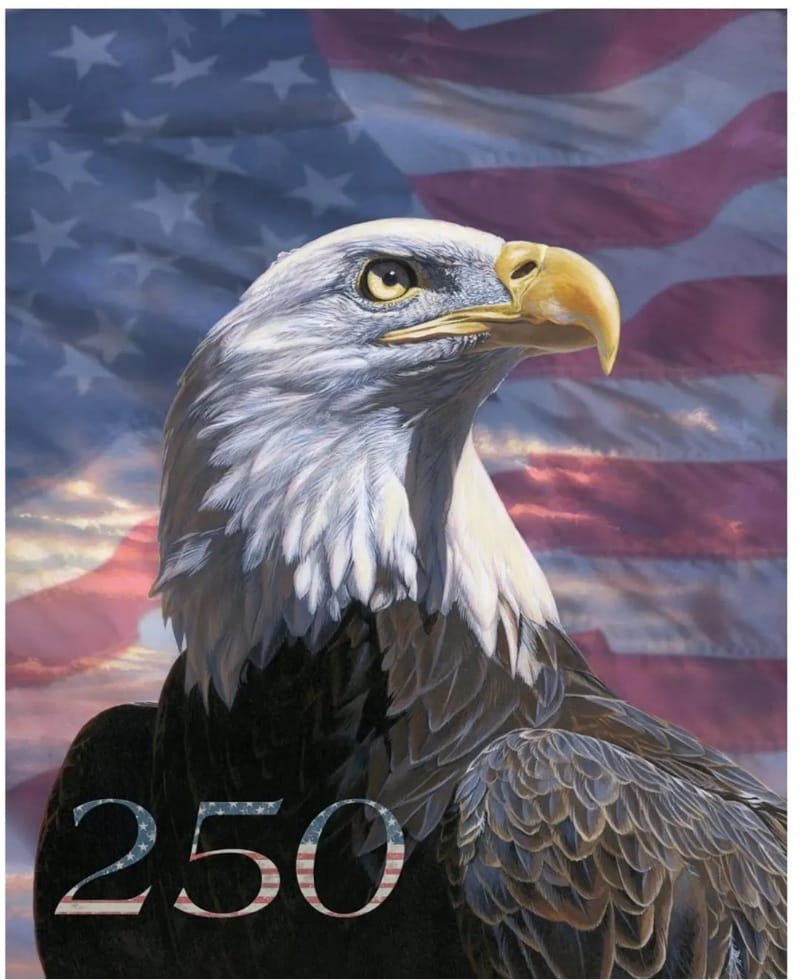 Four Seasons America 250 Years USA 250 Eagle 2 Panel 35.5" David Textiles Cotton Fabric DT-WW-3370-5C-1 | US Fabric Shop
