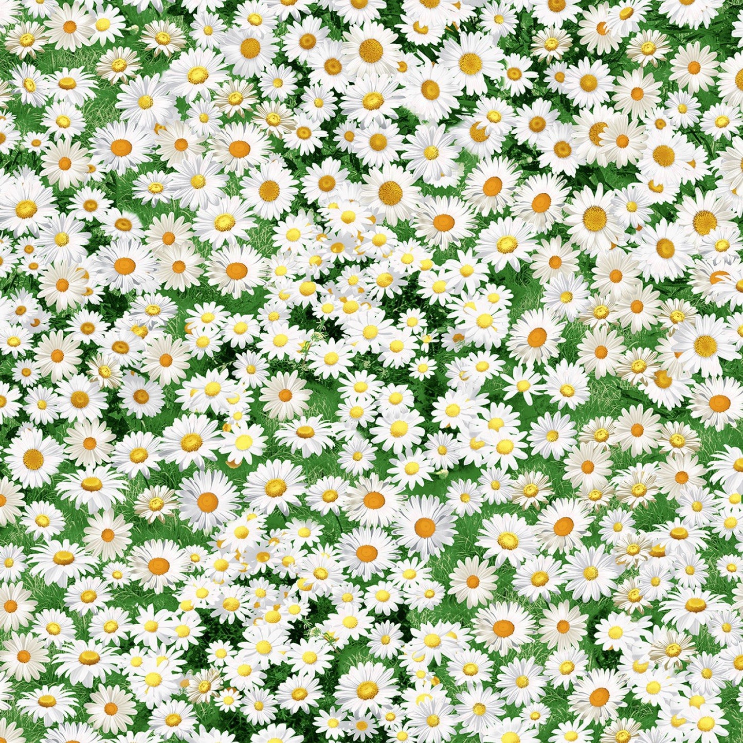 Freedom Farm Collection Daisy fields Timeless Treasures Cotton Fabric