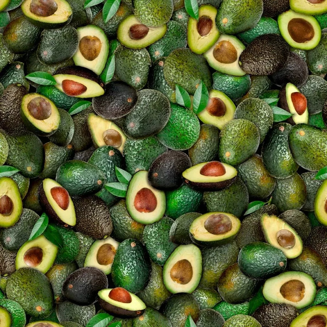 Fresh Avocado Packed Green Dan Morris Quilting Treasures Cotton Fabric