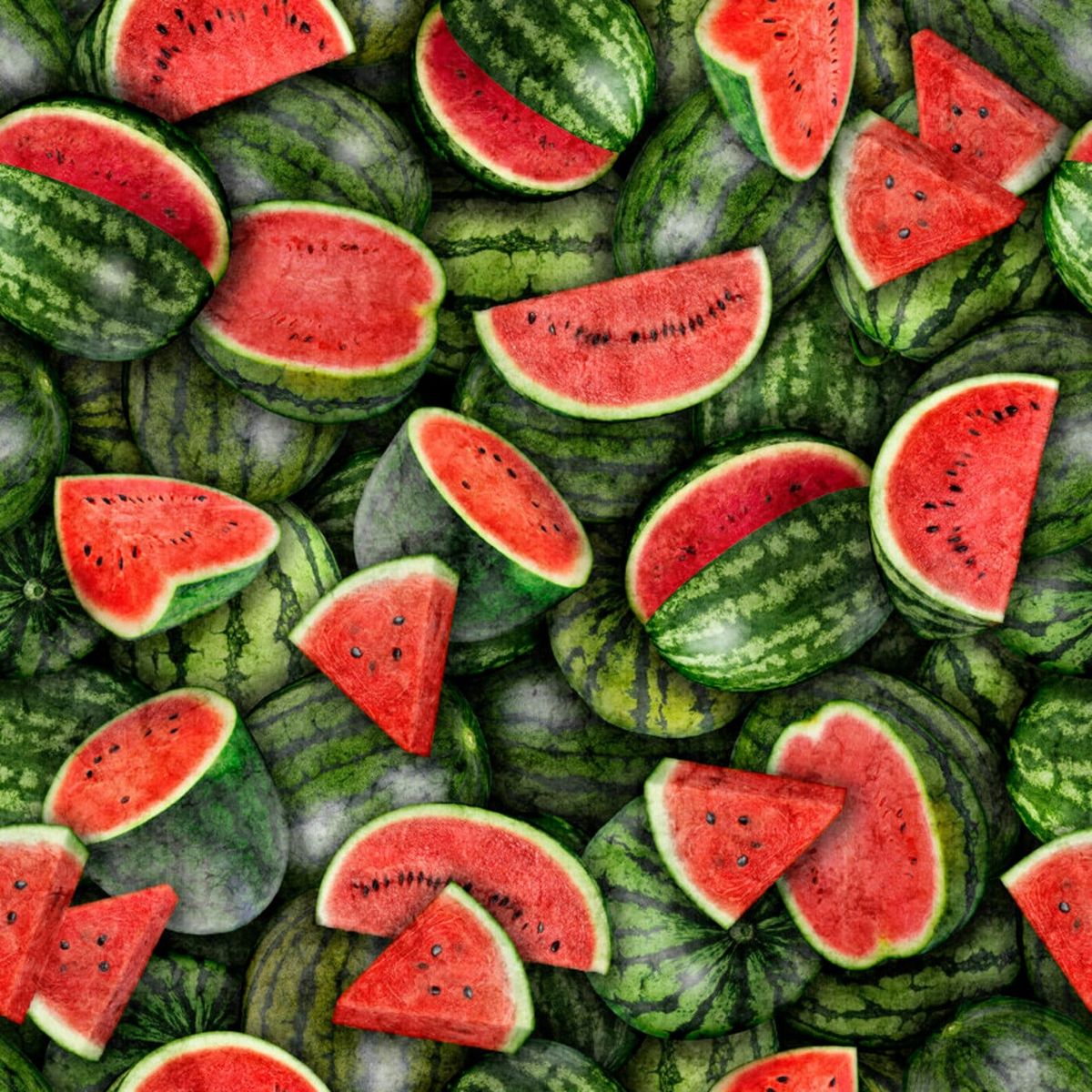 Fresh Watermelon Packed Green Dan Morris Quilting Treasures Cotton Fabric