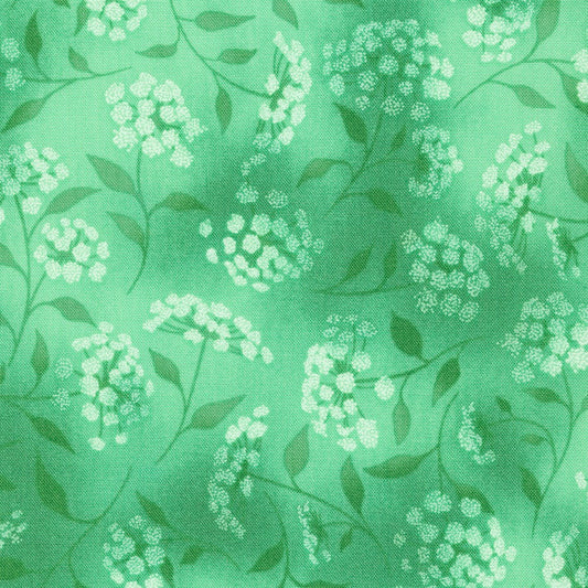 Fusions Eucalyptus Green Queen Anne's Lace Robert Kaufman Cotton Fabric RK-SRK-21319-385