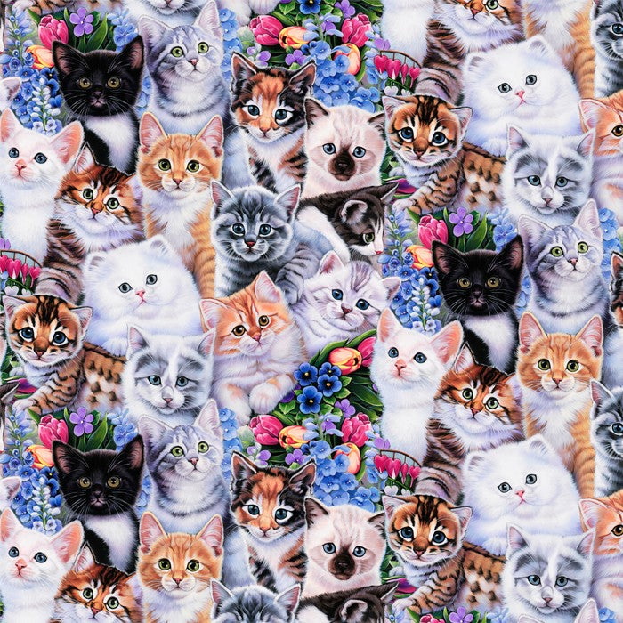 Garden Kittens Kittens & Flowers Multi David Textiles Cotton Fabric DT-AL-3202-6C-1