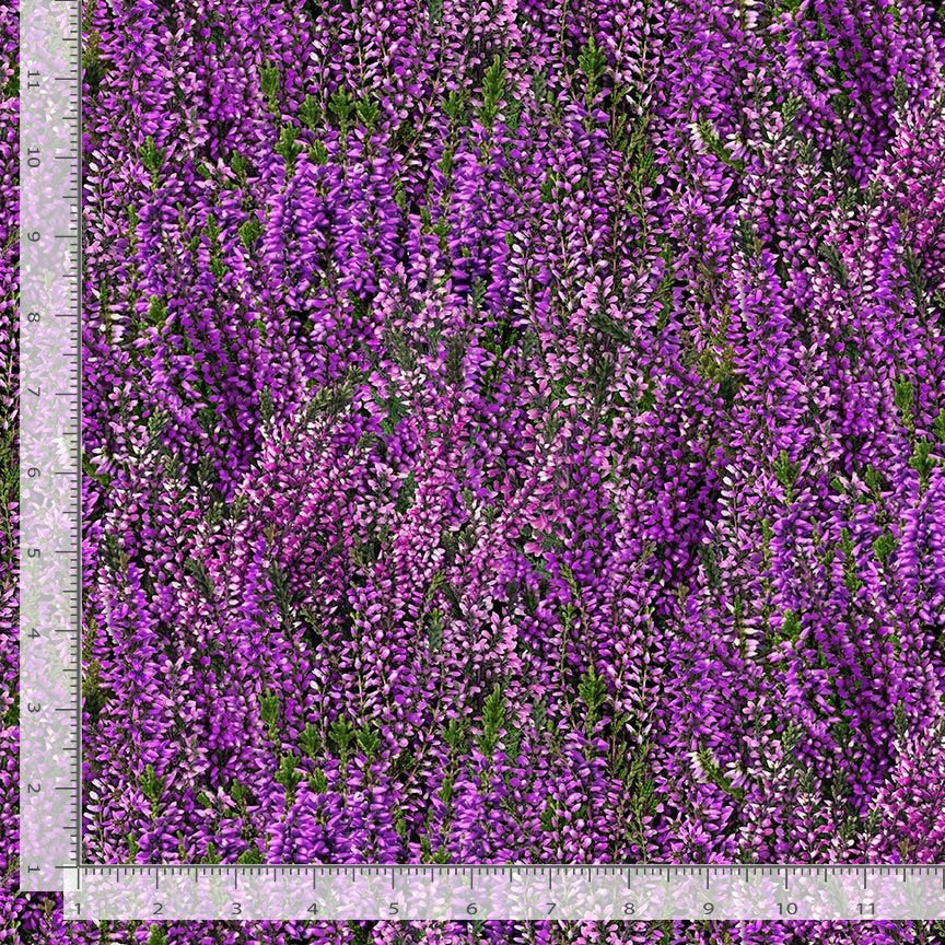 Heather and Highland Lavender Fields Purple Timeless Treasures Cotton Fabric TT-FLEUR-CD4397-PURPLE