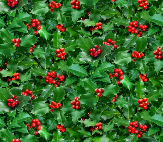 Holly Tree and Berries Holiday Elizabeth's Studio Cotton Fabric