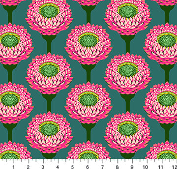 Iconic Strawflower Bursting Green Anna Maria Parry Northcott Cotton Fabric NC-AMT123-28L