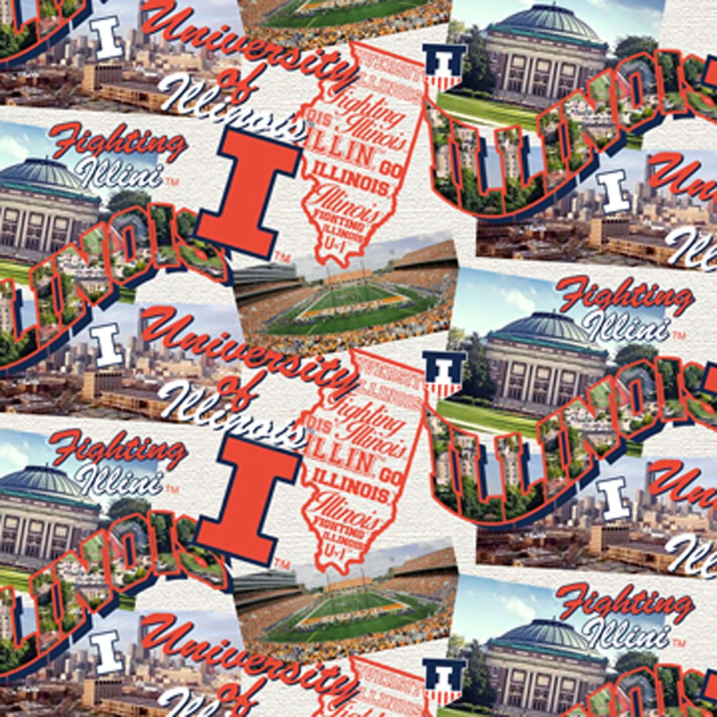 Illinois Fighting Illini NCAA College Scenic Map Sykel Enterprises Cotton Fabric SYK-ILL-1212