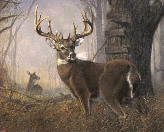 Impending Challenge Whitetail deer hunting Panel 36" David Textiles Cotton Fabric DT-AL-3718-9C-1 Multi