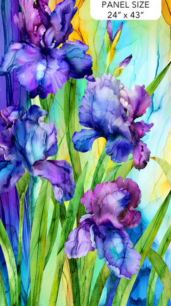 Patchwork Iris by Jenny Parson アートフレーム付き Infatuation Iris Panel 24