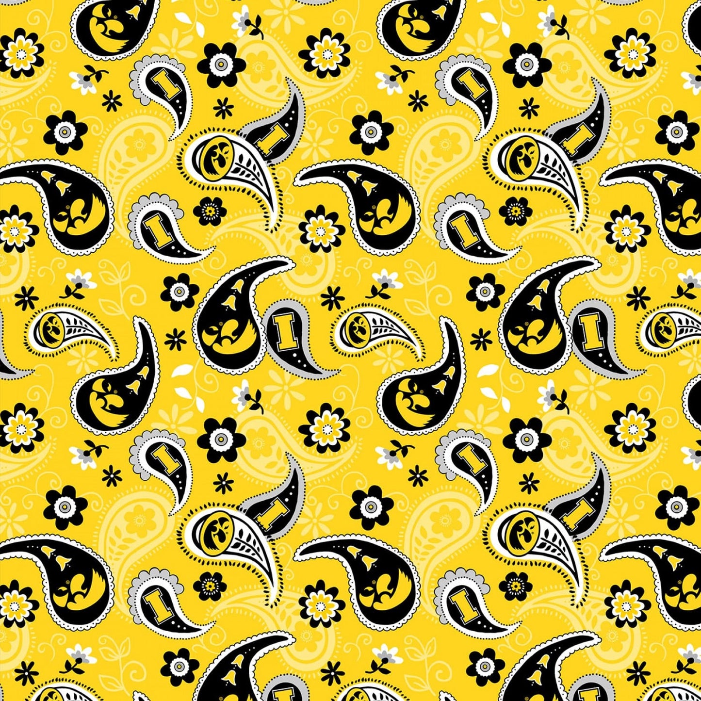 Iowa Hawkeyes NCAA College Paisley Sykel Cotton IA-1200