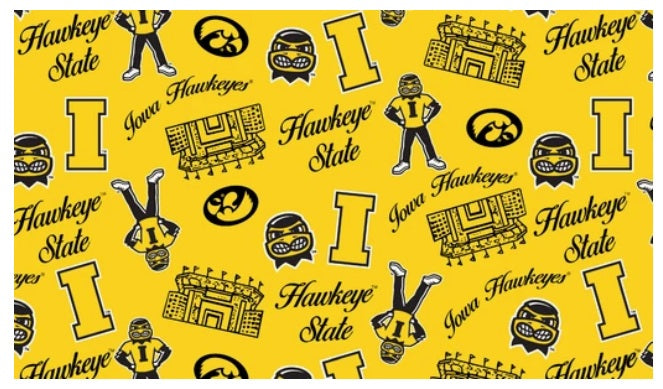 Iowa Hawkeyes NCAA College Mini Stadium Logo Sykel Enterprises Cotton Fabric IA-1389