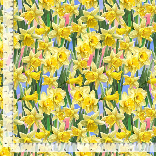 Just Hatched Yellow Daffodil Daffodil Dona Gelsinger Timeless Treasures Cotton Fabric TT-DONA-CD3253-DAFFODIL
