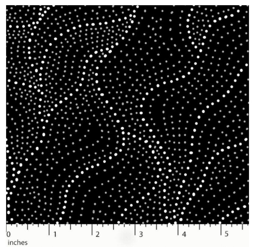 Land of Utopia Black Anna Pitjara M&S Textiles Australia Cotton Fabric MSTA-LUTB-Black