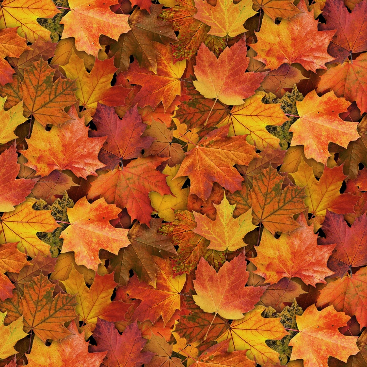 Landscape Medley Leaves Gold Elizabeth's Studio Cotton Fabric ES-715-GOLD