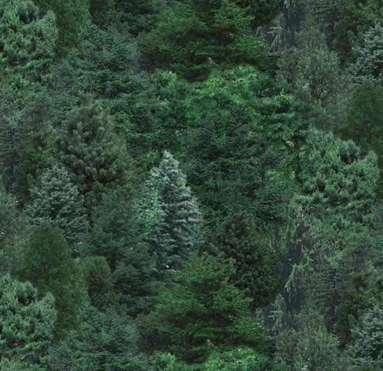 Landscape Medley Trees Pine Green Elizabeth's Studio Cotton Fabric