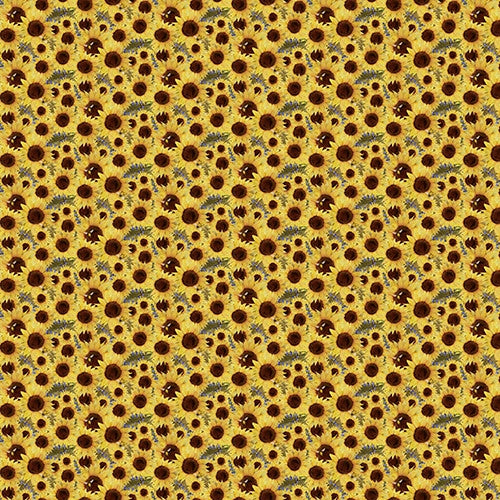 Locally Grown Sunflower Field Yellow Beth Albert 3 Wishes Cotton Fabric 3W-20195-Yellow