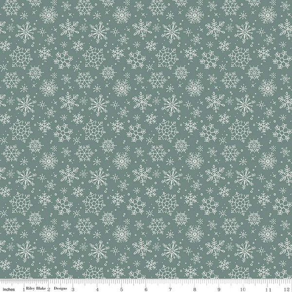 Magical Winterland Snowflakes Winter Grainy Lisa Audit Riley Blake Cotton Fabric RB-C14944-Winter