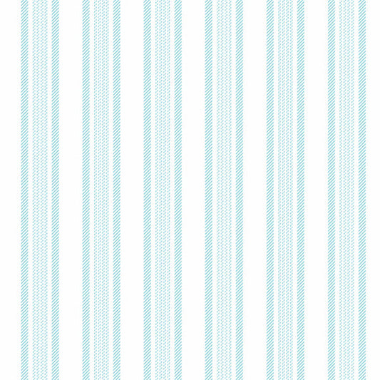 Magnolia Stripe Light Blue Edyta Sitar of Laundry Basket Quilts Andover Fabrics Cotton Fabric AF-A-861-LB