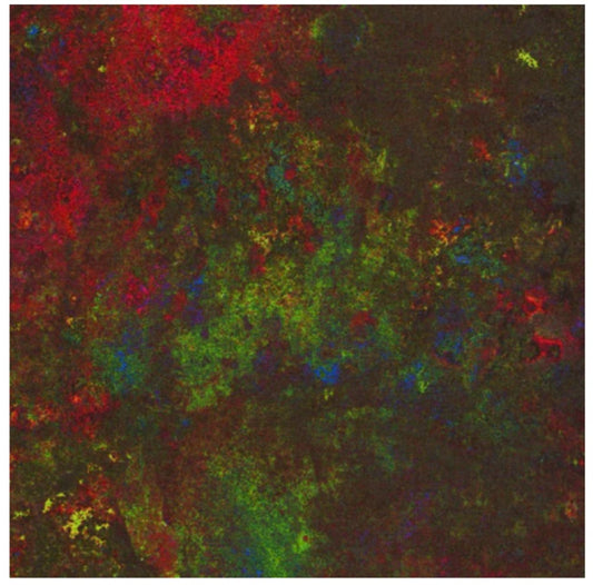 Marblehead Granite Rainbow Black Paintbrush Studios Cotton Fabric