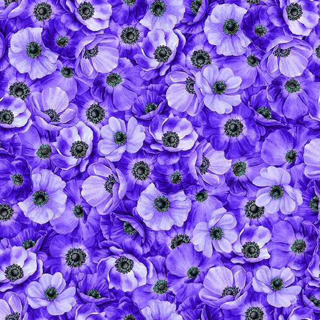 Meadow Bloom Packed Anemones Purple Chong-A-Hwang Timeless Treasures Cotton Fabric TT-MEADOW-CD3953-PURPLE