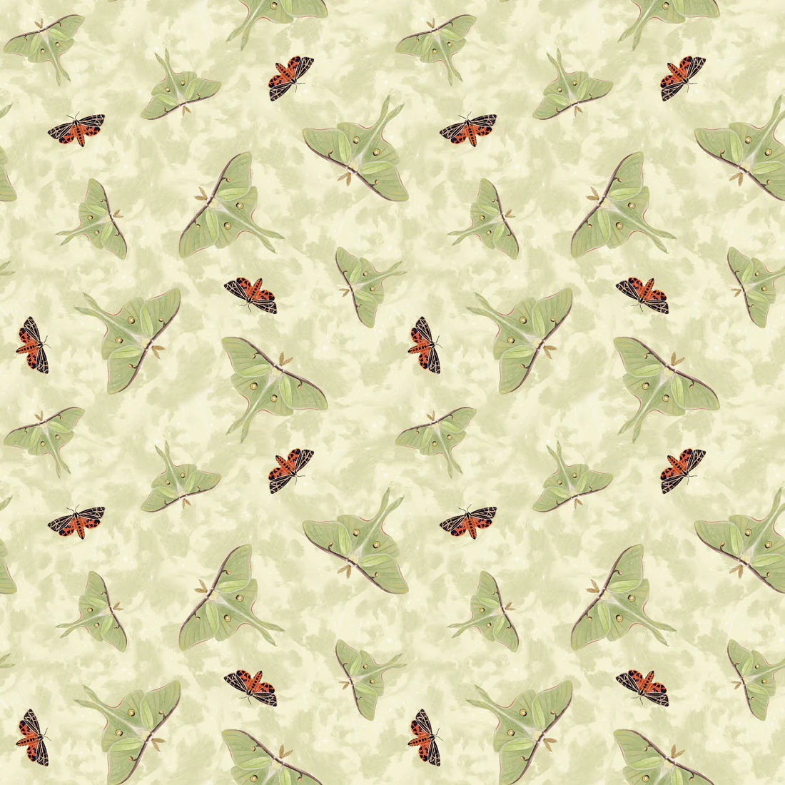 Midnight Rendezvous Moths Tossed Ivory Cream Raquel Maciel Blank Quilting Cotton Fabric