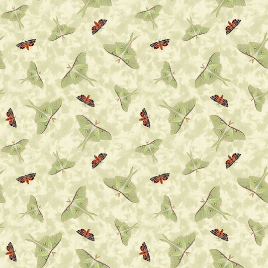 Midnight Rendezvous Moths Tossed Ivory Cream Raquel Maciel Blank Quilting Cotton Fabric
