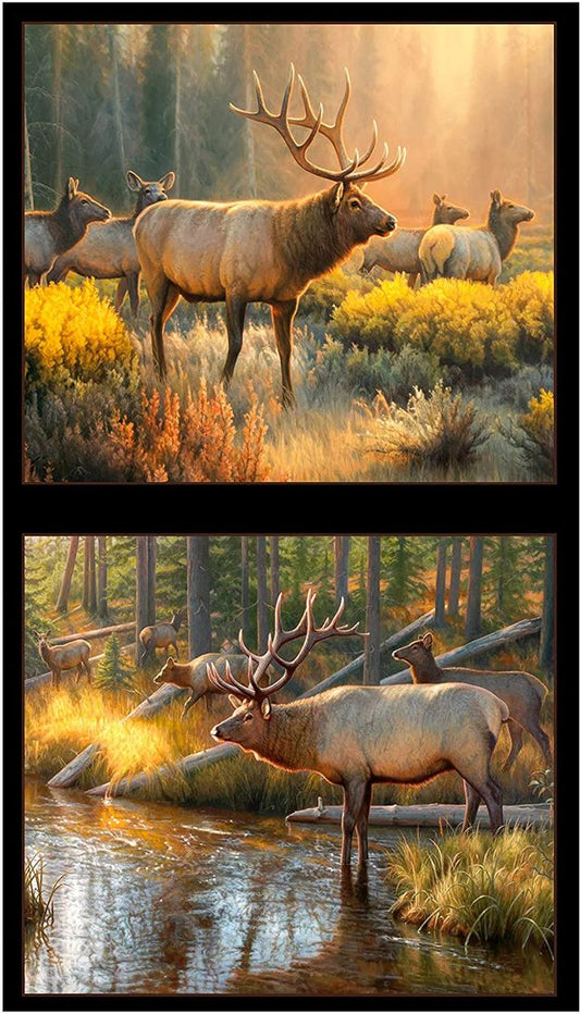 Morning Glory Elk Panel 24" Black Elizabeth's Studio Cotton Fabric ES-9204 Black