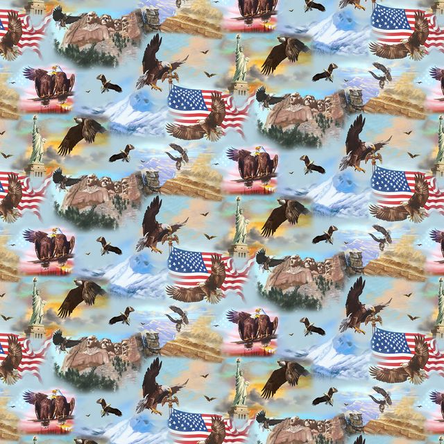 National Emblem Scenic Sky Blue D Rusty Rust Blank Quilting Cotton Fabric