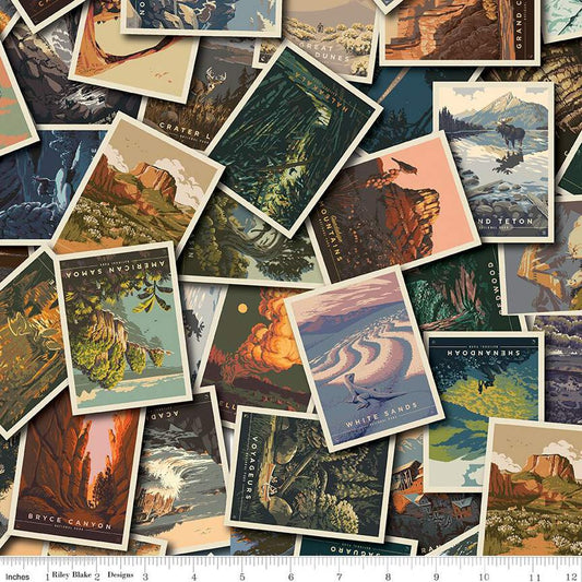 National Parks Postcard Toss Multi Anderson Design Group Riley Blake Designs Cotton Fabric RB-CD13290-MULTI