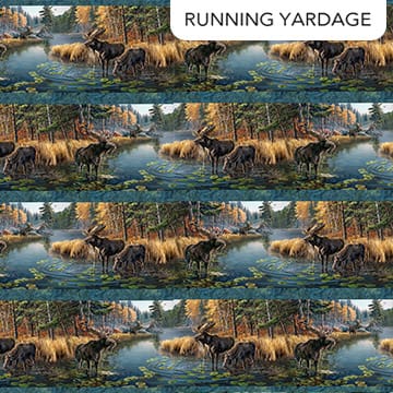 Autumn Woodland-Naturescapes Border Stripe Blue Multi James Meger Northcott Cotton Fabric NC-DP28411-48 | US Fabric Shop