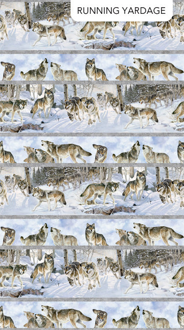 Naturescapes Wild at Heart Border Stripe Light Blue Multi AI Agnes Northcott Cotton Fabric NC-DP28191-42