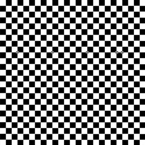 Noah's Story Black and White Check Delphine Cubitt Henry Glass Cotton Fabric