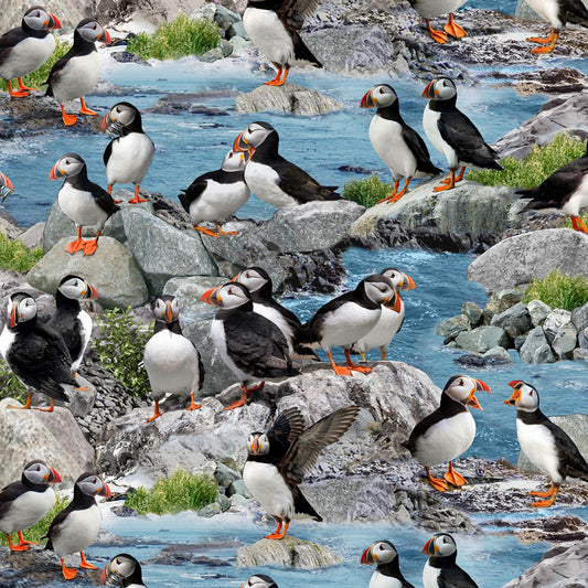 North American Wildlife Puffins Blue Elizabeth's Studio Cotton Fabric ES-567E-BLU