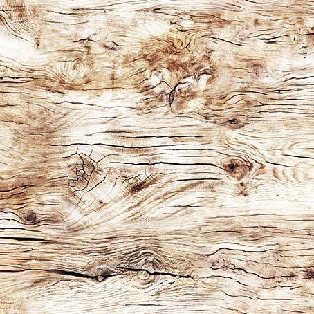 North Country Woodgrains Cream Darrell Bush Michael Miller Cotton Fabric MM-DDC12451-CREM-D