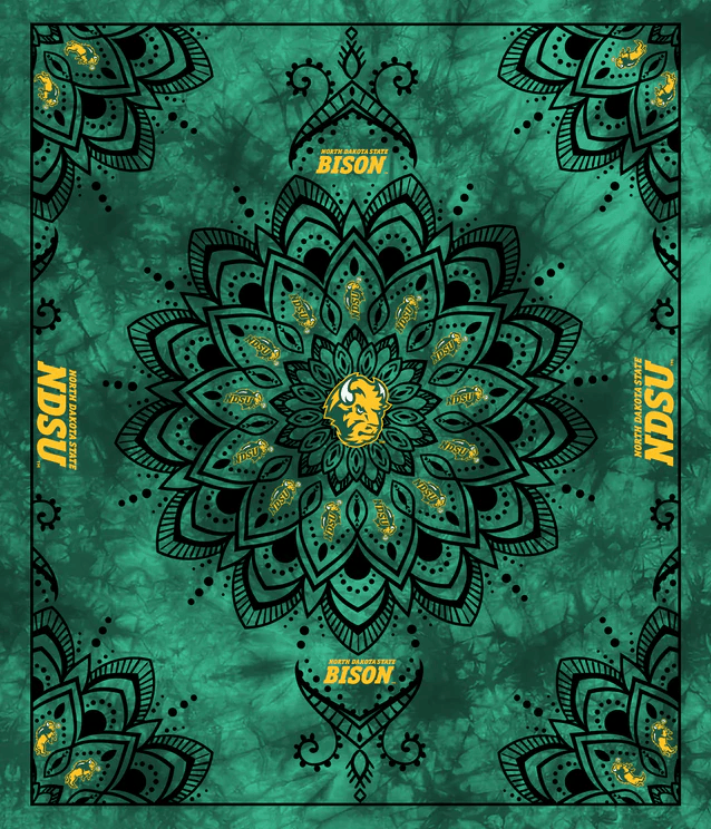 North Dakota State Bisons NCAA Collegiate Tapestry Panel 48"x56" Sykel Enterprises Polyester MINKY Fabric NDS-1360 | US Fabric Shop