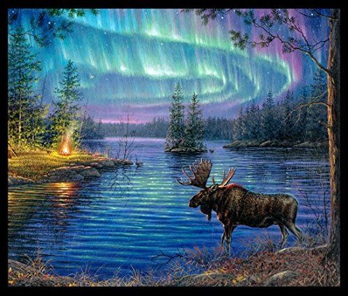 Northern Lights Moose Pond Panel 36" Elizabeth's Studio Cotton Fabric