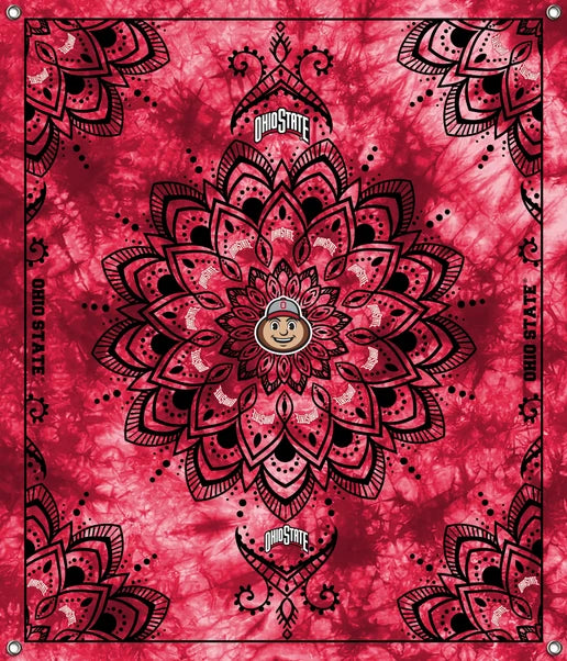 Ohio State Buckeyes NCAA College Tapestry Spirit Banner 58x47 inches Sykel Enterprises 4 Grommets Polyester Fabric OHS-5001