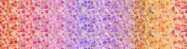 Omnificent Ombres Berry Boho Blooms Rainbow Ombre Lewis and Irene Cotton Fabric LI-OM3