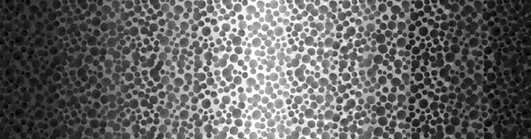 Omnificent Ombres Bumbleberries Black White Grey Lewis and Irene Cotton Fabric LI-BBOM6