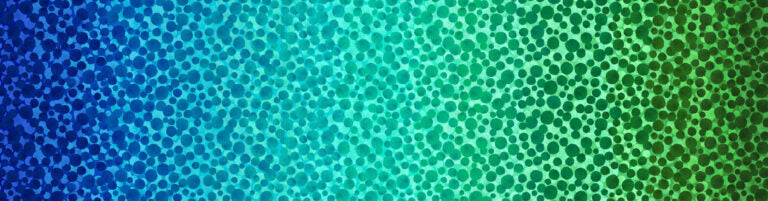 Omnificent Ombres Bumbleberries Ocean Lewis and Irene Cotton Fabric LI-BBOM3