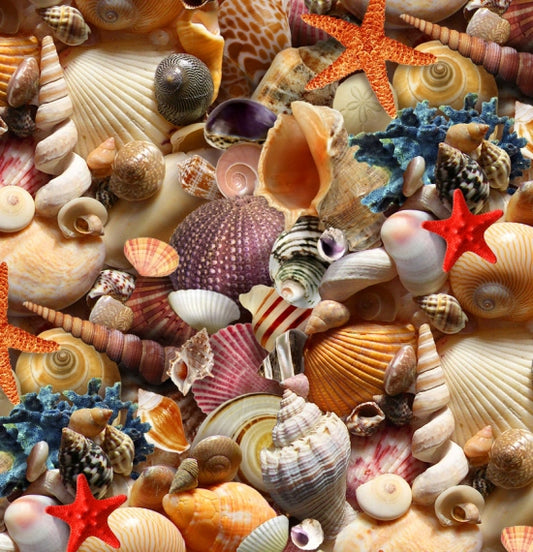 Packed Sea Shells Sand Landscape Medley Elizabeth's Studio Cotton Fabric ES-392 Multi