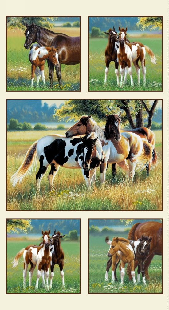 Pasture Buddies Horses Panel 24" Cream Cynthie Fisher Elizabeth's Studio Cotton Fabric