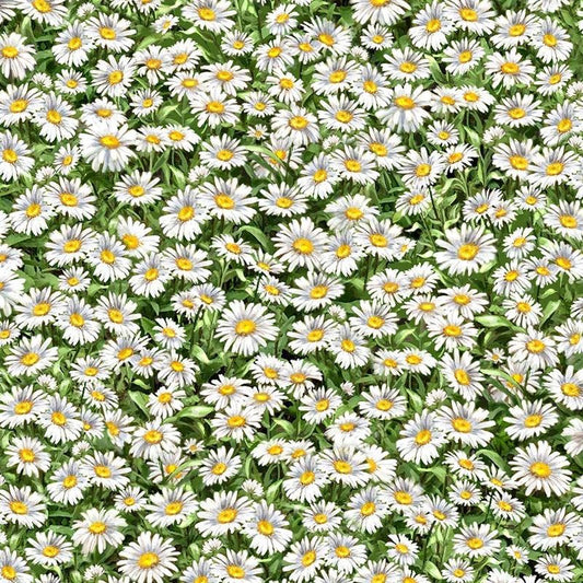 Peaceful Garden Daisies Packed Multi Timeless Treasures Cotton Fabric